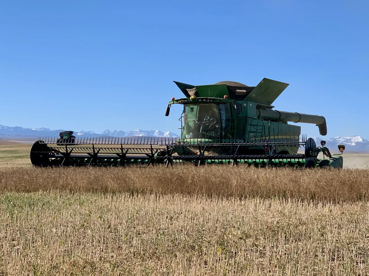 Combine harvesting a golden field with the Rocky Mountains across the horizon