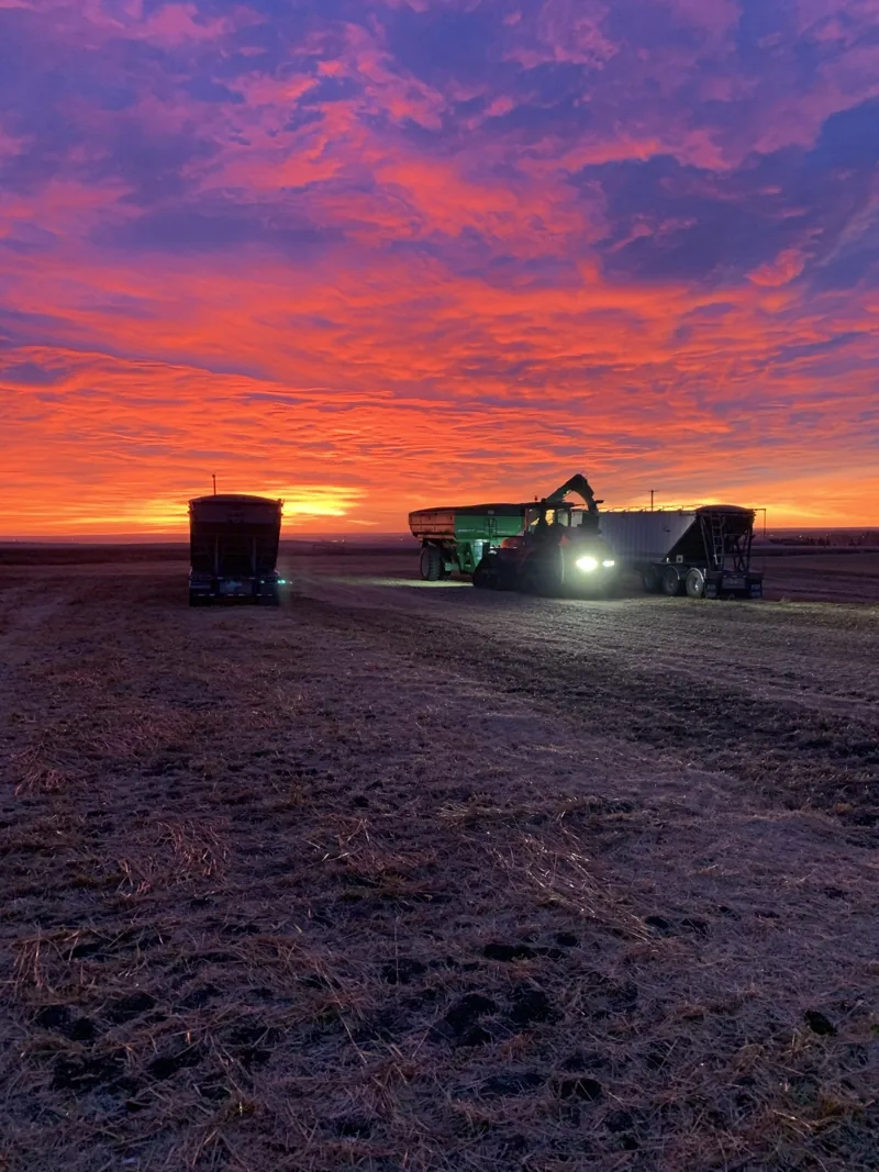 Combine and truck beneath vivid orange and pink sunset clouds